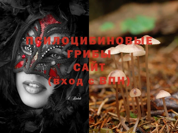 MESCALINE Алзамай